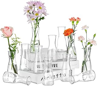 Hewory Kleine Vasen für Tischdeko Hochzeit: 12 Vase Glas Vasen Klein Tischdeko für Hochzeitsdeko - Modern Blumenvase Glas Kleine Glasvasen Flower Vase Schmal für Wohnzimmer Brautparty Wedding Esstisch