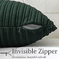 Vista 503 de UGASA - Juego de 2 fundas de almohada de terciopelo a rayas, funda decorativa para cojín con cremallera oculta para el hogar, sofá, dormitorio