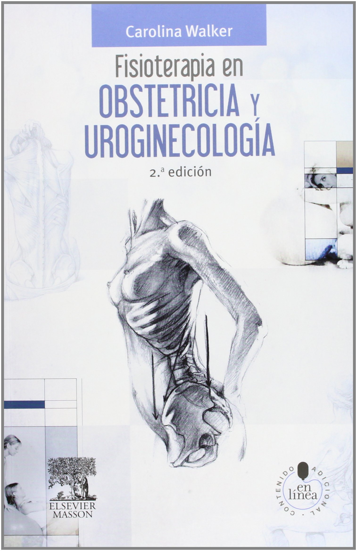 Fisioterapia En Obstetricia Y Uroginecología - 2ª Edición (+ StudentConsult)