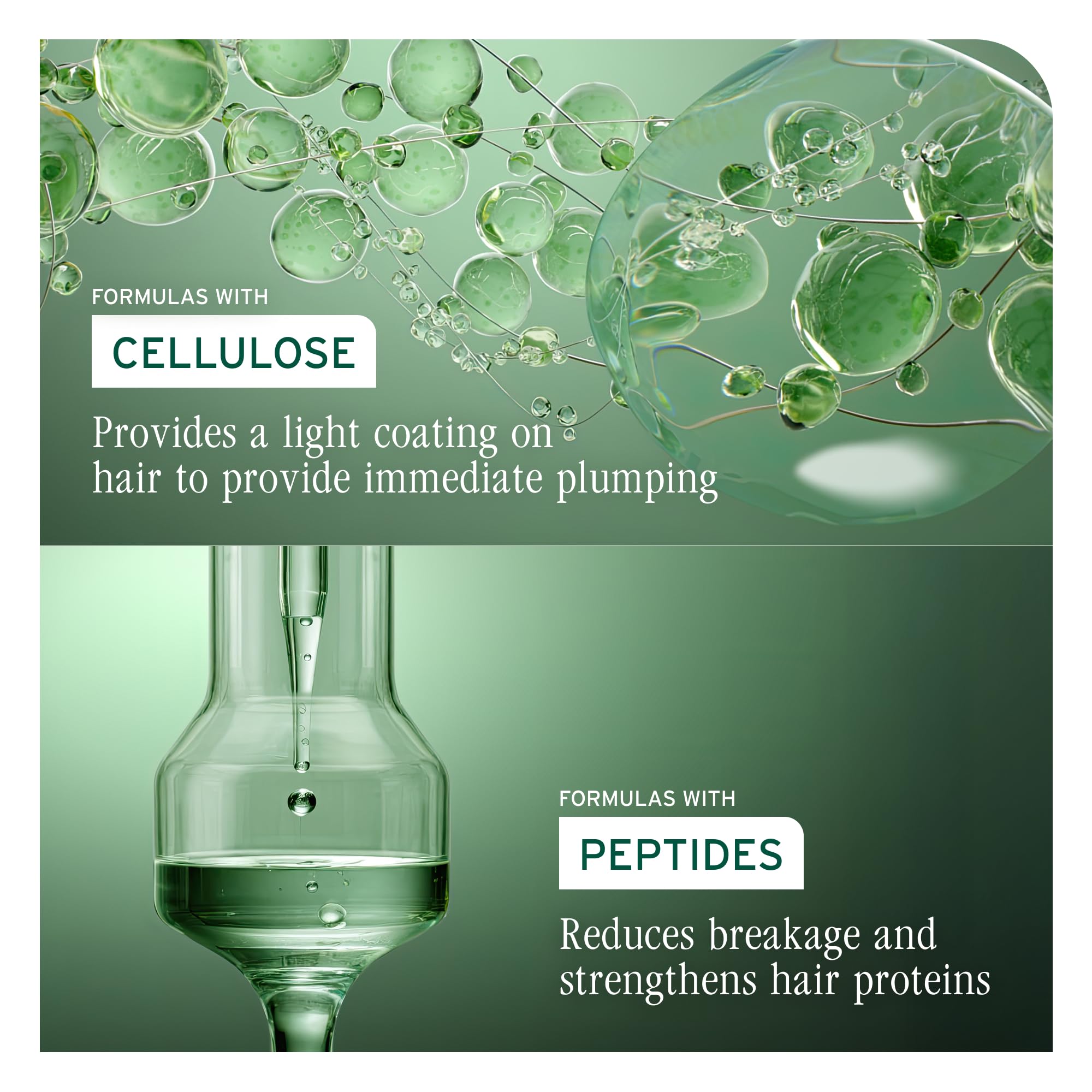 Biolage Volume Boost Shampoo for Fine Hair – Creates Lasting, Lightweight Volume, Root Lift & Shine, With Cellulose and Peptides, Vegan, Paraben and Silicone-Free - 5