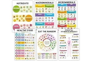6 Pcs Healthy Food Chart (11"X17")