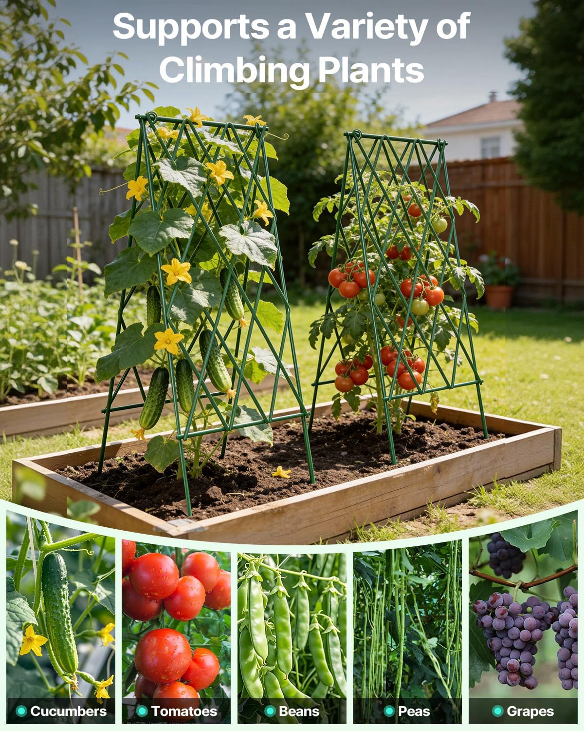 Suteck Cucumber Trellis 39.2" 2 Pack A-Frame – Foldable Metal Garden Trellis for Cucumbers, Peas, Beans & Climbing Plants, No Assembly Required Plant Support, Ideal for Raised Beds, Patios & Backyards