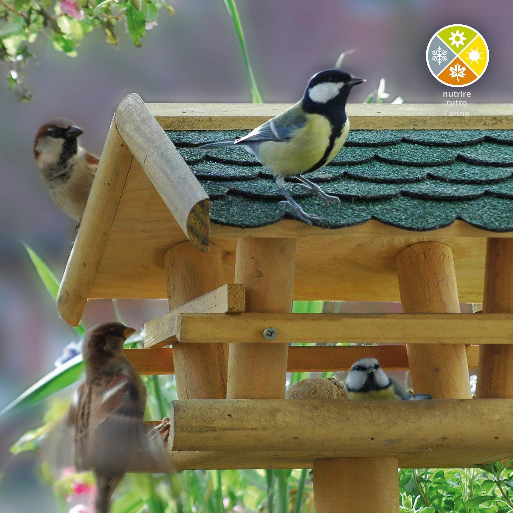 dobar 48100FSC Mangiatoia per uccelli con supporto – Mangiatoia per uccelli in legno con tetto in bitume – Casetta per uccelli con supporto triplo – Villa per uccelli per giardino/terrazza/balcone –