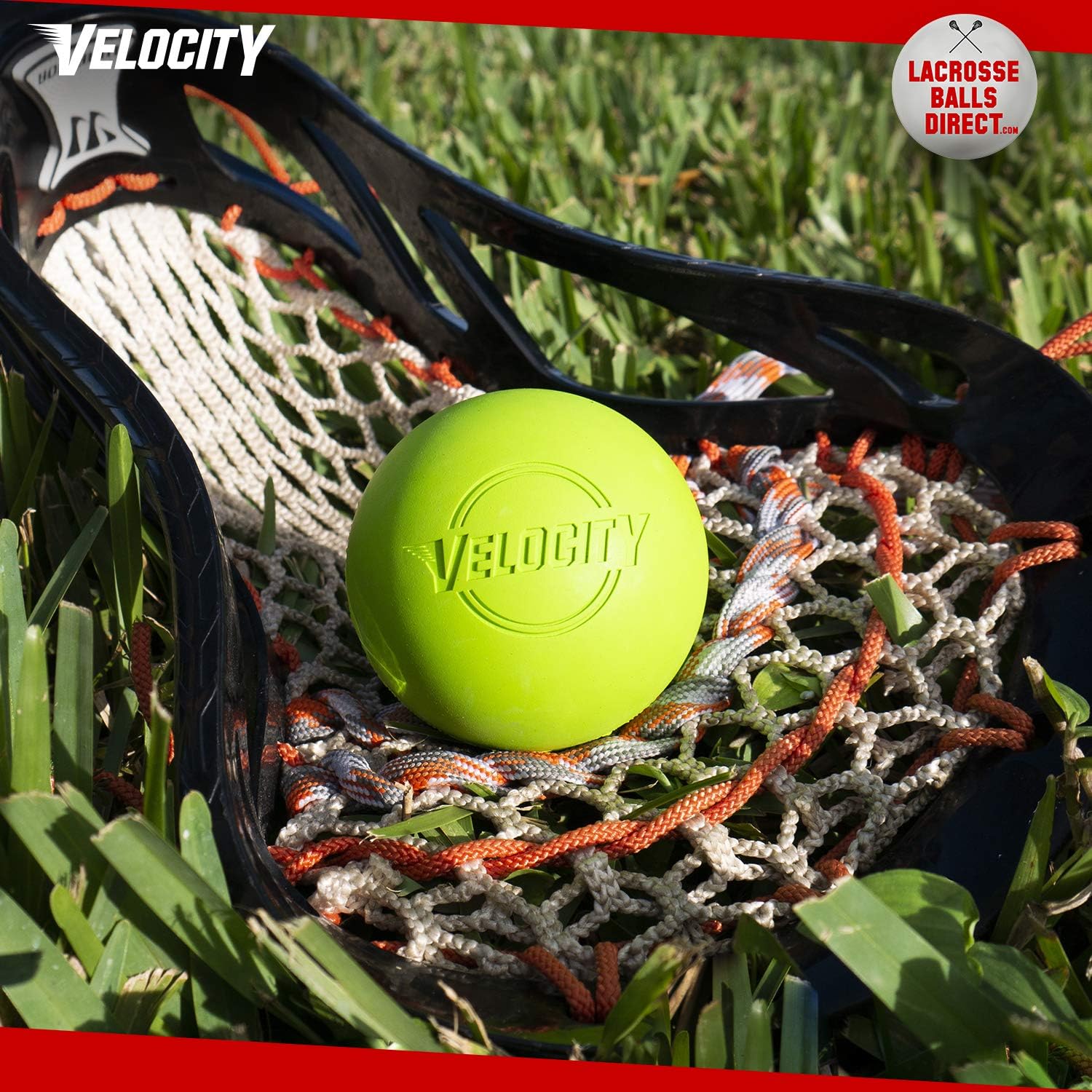 Velocity Lacrosse Balls - 6, 12, 18, 60, and 120 Packs - Official NFHS and College Approved Size : Sports & Outdoors