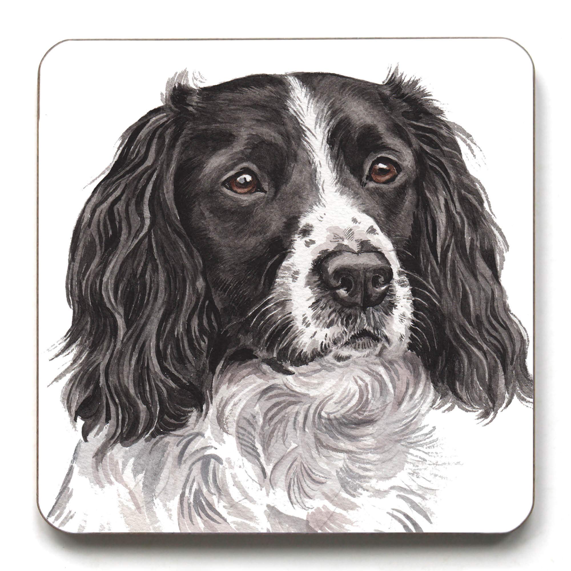 Waggydogz Springer Spaniel Coaster (Cst-177)
