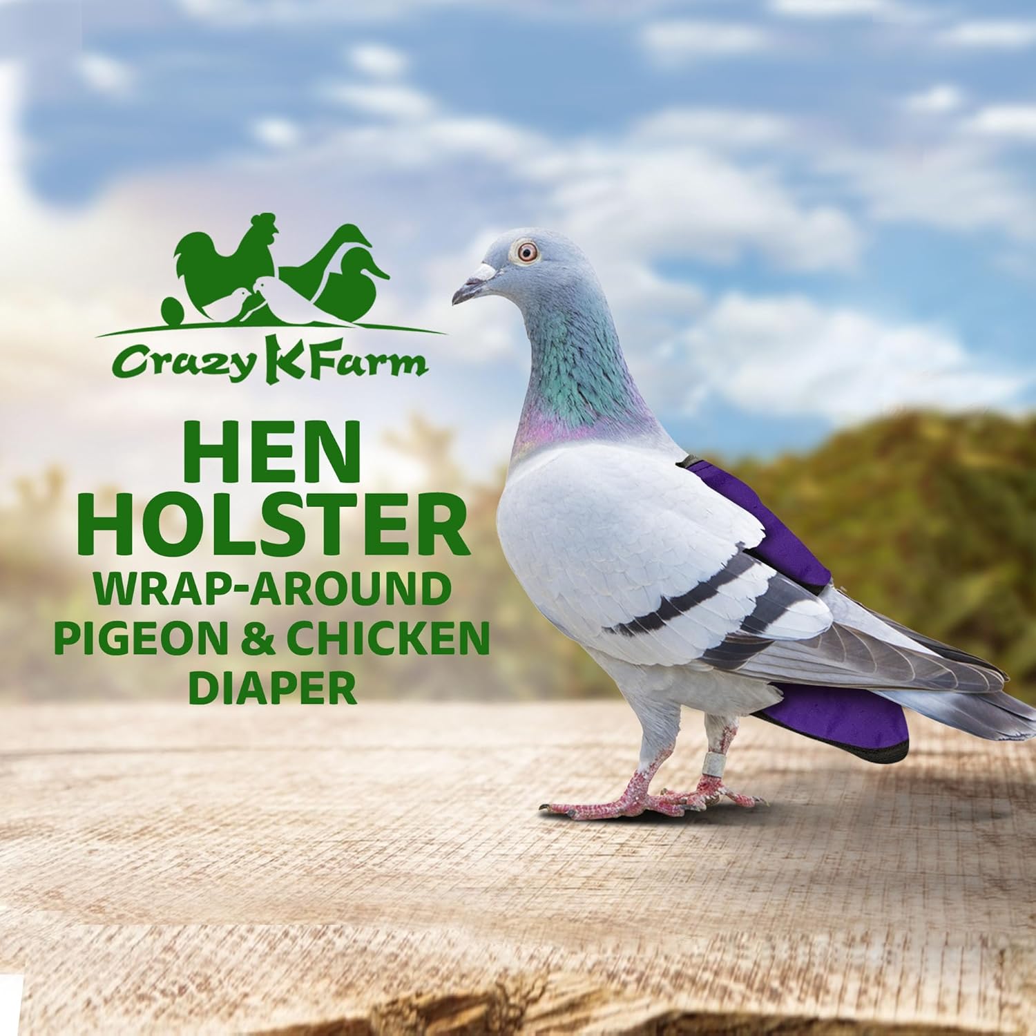 Hen Holster Premium Starter Kit - Bird Diaper, Wrap Around for Larger Pigeons, Small Breed Hens & Roosters - Leak-Proof, Comfortable Bird Harness with Sewn-in Liner & Hook & Loop Closure - XS, Purple
