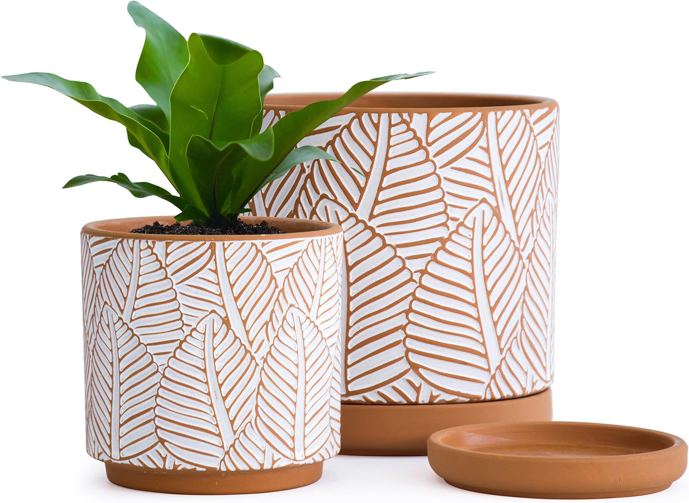 Set of 2, Broadleaf Pattern Planter Pot, 4.5 Inch and 6.3 Inch, Pot with Drainage Hole and Saucer, Terracotta/White