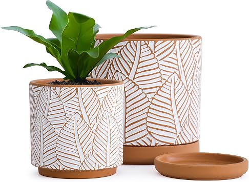 Dvine Dev Set of 2 Terracotta Pots, Broadleaf Pattern Planter Pot, 4 Inch and 6 Inch, Pot with Drainage Hole and Saucer, Terracotta/White, 31-958-H-1