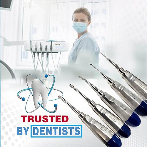 Miniatura 5 de Elevador de luxación dental recto y curvo, osteótomo periodomo, implante oral de muda apical, extracción quirúrgica de raíz de acero inoxidable