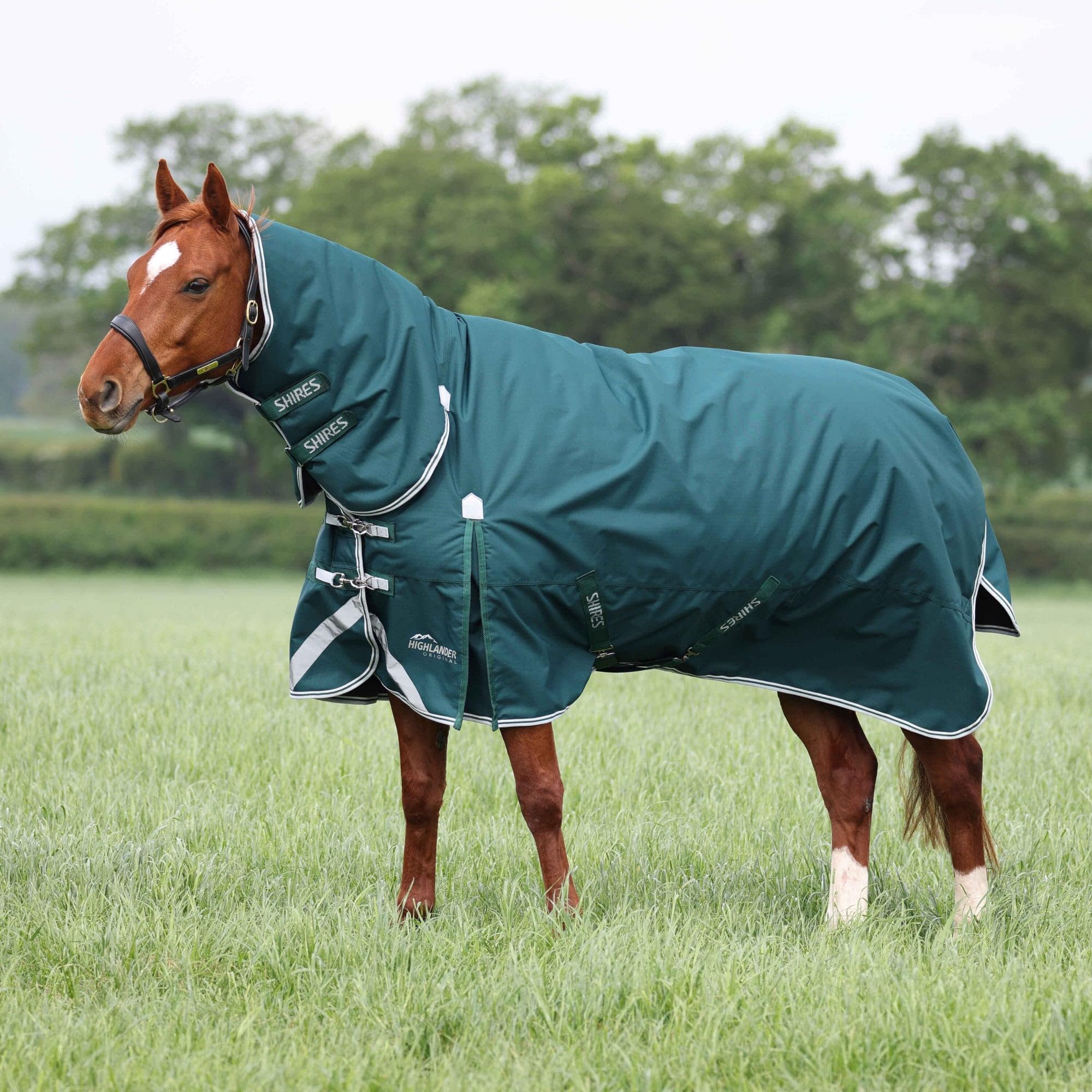 Shires Highlander Original 300 Combo Turnout Rug - Green 6ft0