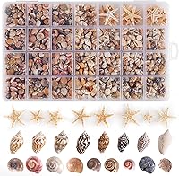 PPCLION 60 Tiny Starfish & 1800 Mini Sea Shells - Natural Polished Spiral Conch for Crafts, Home Decor, Vases & DIY