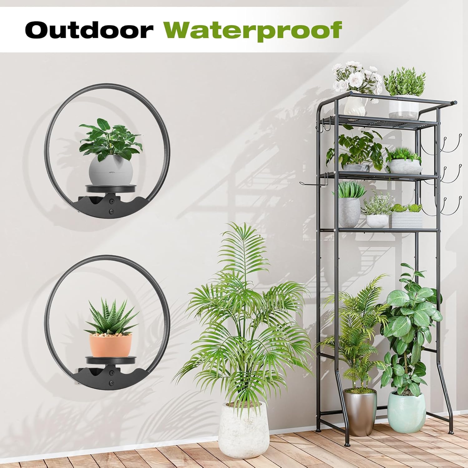 Round Picture Frame Wall Plant Holder Black Wall Hanging Planters Metal Window Plants Shelf Plant for Indoor Outdoor Garden Rockery Decoration 3 Pack