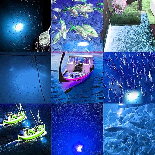 Miniatura 4 de Samdo IP68 Lámpara LED submarina de 12V para pesca, 1080 lúmenes, luz nocturna para barco, pesca de 8W