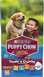 Purina, Puppy Chow High Protein Dry Puppy Food, Tender & Crunchy With Real Beef, 4.4 Pound Bag