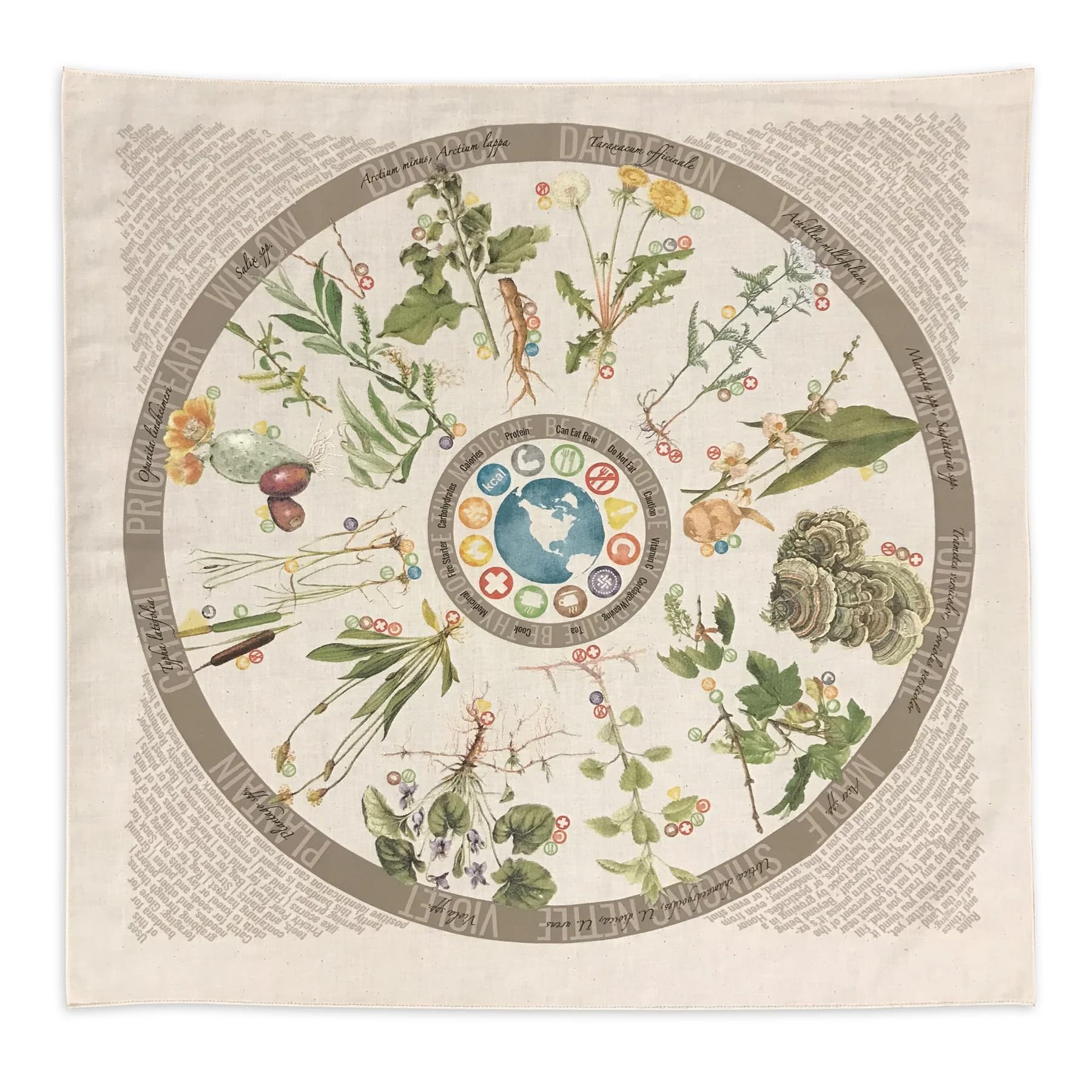 Foraging Bandana with 12 Common Edible & Useful North American Plants, Trees, and More, Practical Field Reference, Made in the USA, 100% Cotton Bandanas for Women & Men, Standard Size 22" x 22"