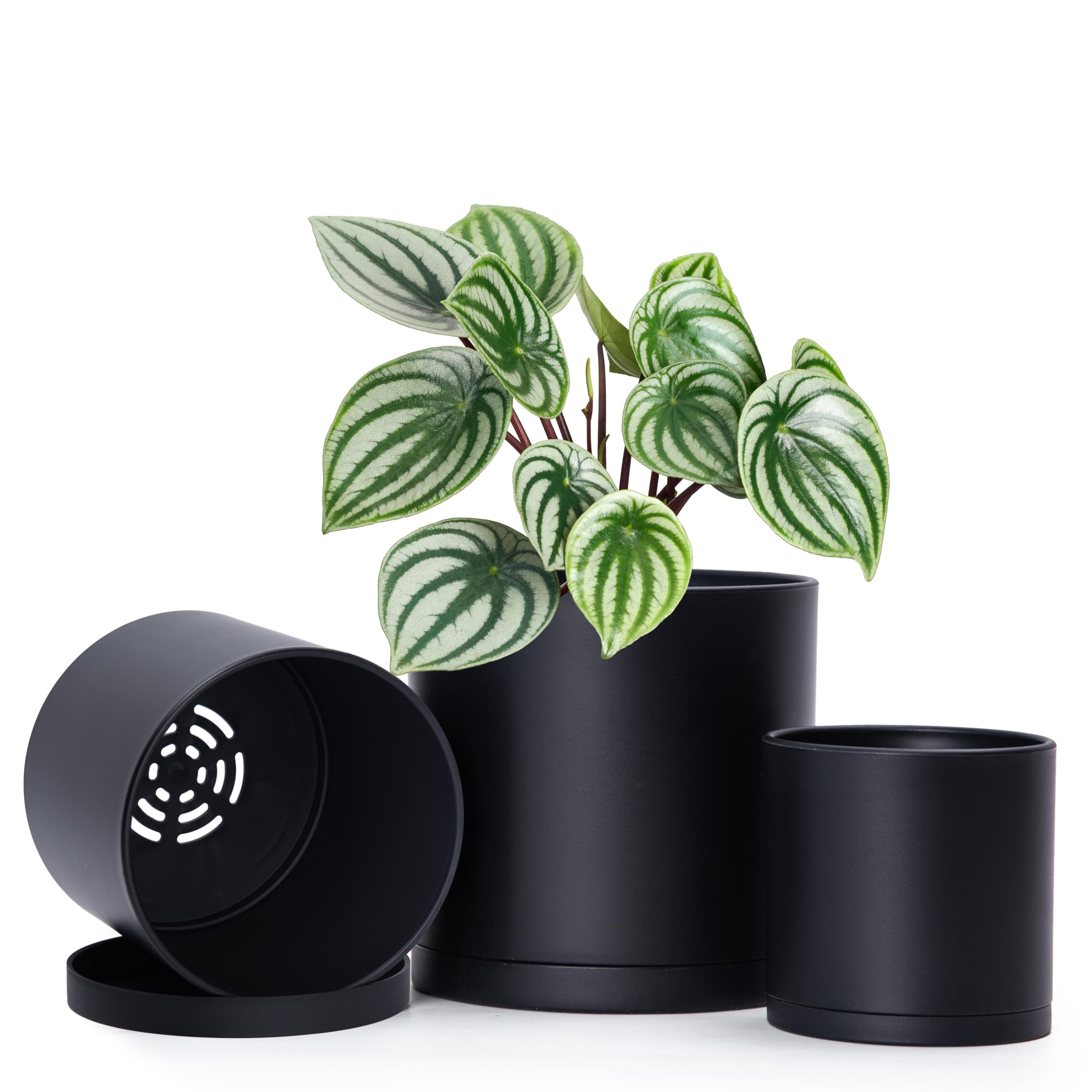 D'vine Dev 4 Inch 5 Inch 6 Inch, Set of 3 Plastic Planter Pots for Plants with Drainage Hole and Seamless Saucers