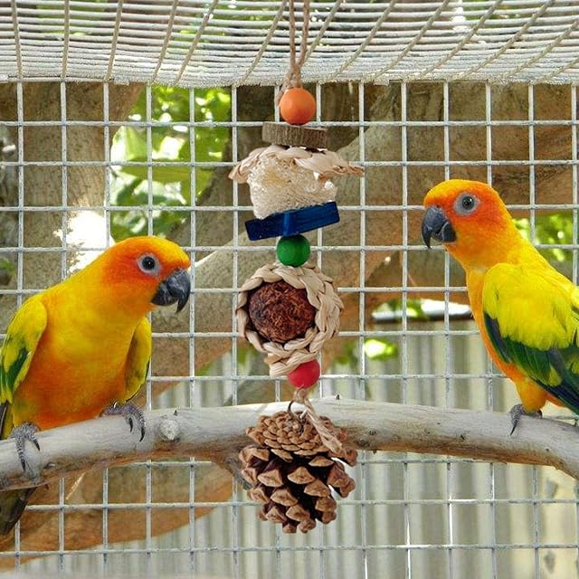 Foto 3 de 8 de Gusengo Juguetes para periquitos,Natural Cornbraid Pine Cone Ball Bites Skewers Bird Toy