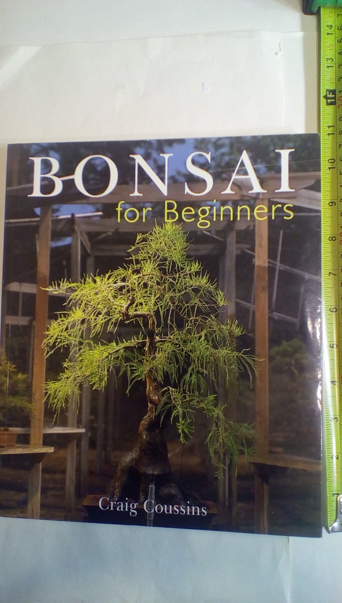 Bonsai for Beginners
