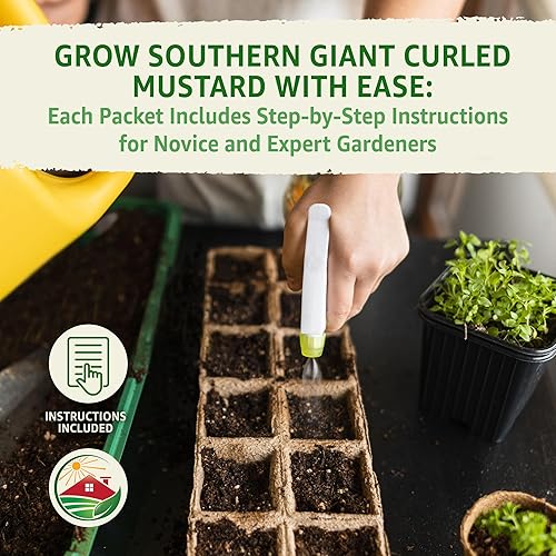 Miniatura 5 de TKE Farms & Gardens Semillas de mostaza rizada Southern Giant para plantar  0.18 onzas, 2000 reliquia, semillas sin OMG, fáciles de cultivar, verde