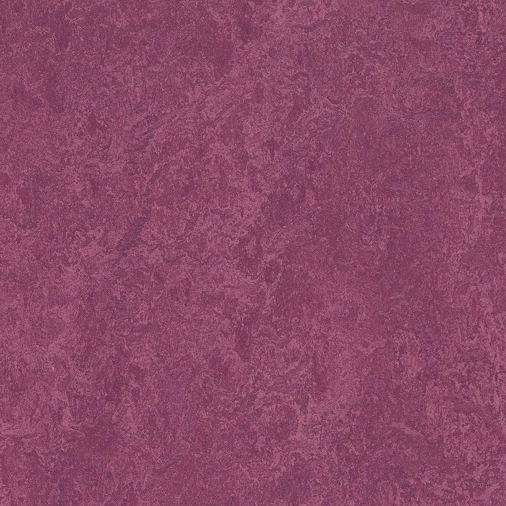 Marmoleum Click CinchLoc - Summer Pudding Squares