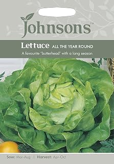 Johnsons 12033 Vegetable Seeds, Lettuce All The Year Round