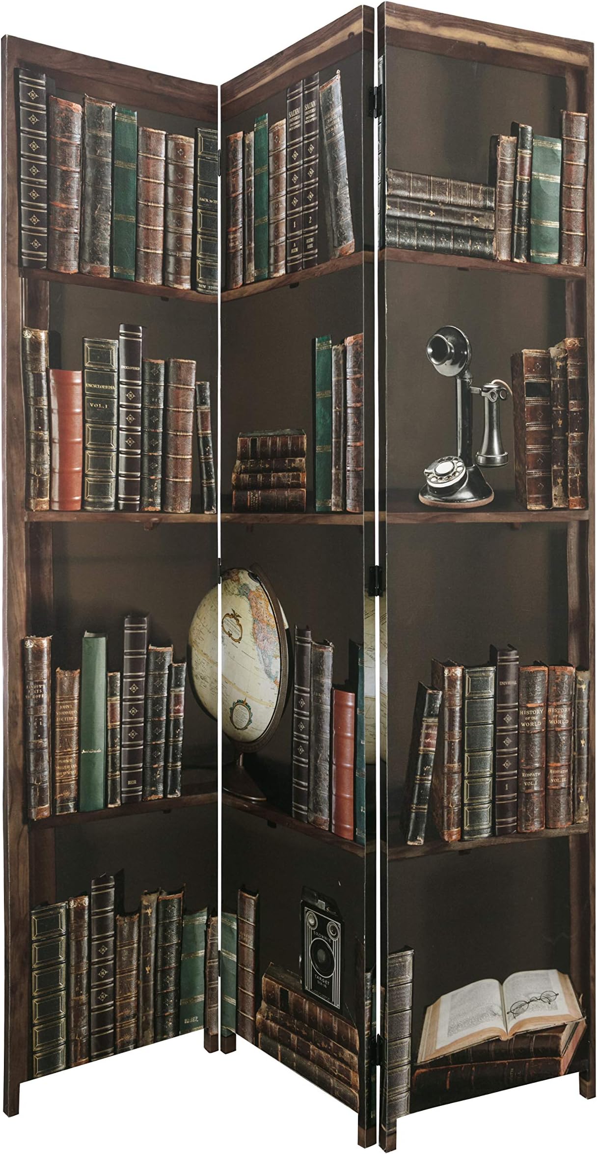 kieragrace Bota Triple-Panel Floor Screen-47" x 71", Books