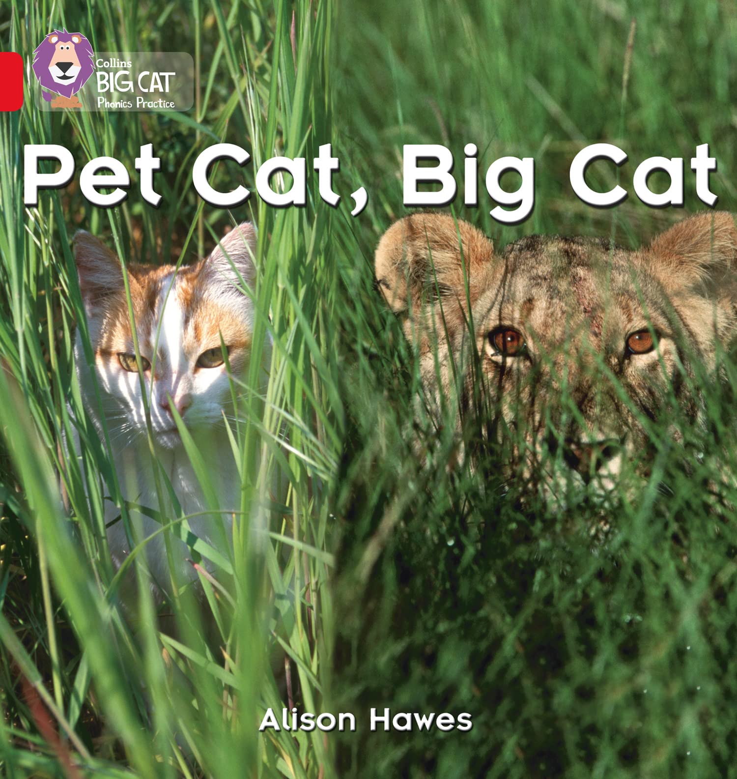 Pet Cat, Big Cat Band 02a/Red a by Alison Hawes (Paperback Book)