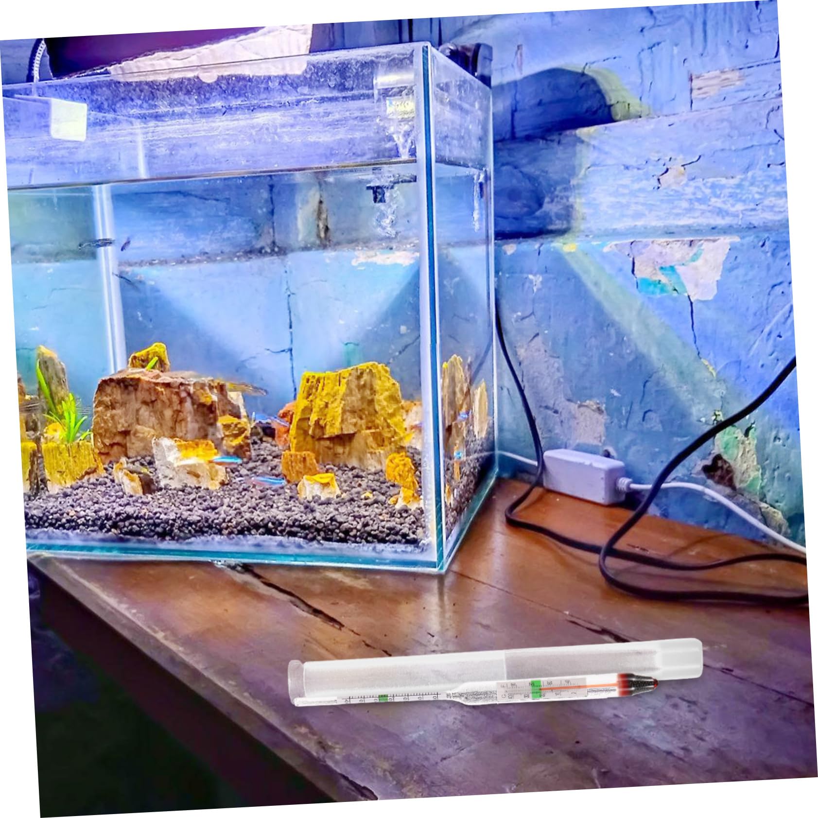 TOYANDONA 10 Juegos medidor de salinidad del Agua de mar pecera indicador Sal Marina para Acuario Largo hidrómetro Digital Peces hidrómetro de Agua Salada de precisión el plastico