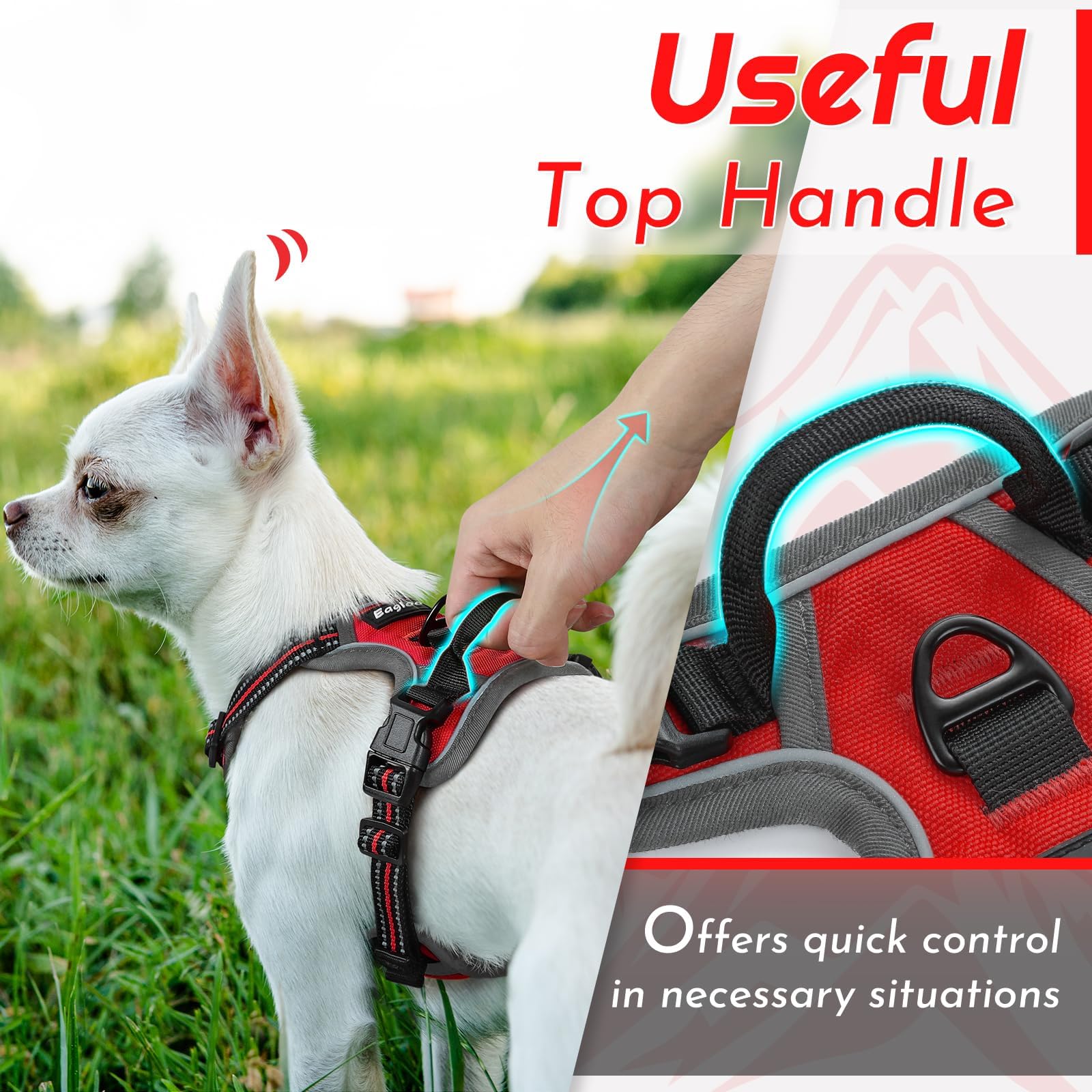 Eagloo Pettorina Cane Taglia Piccola, Pettorina ad h Antifuga, Imbracatura per Cani Anti Tiro con Doppio Gancio, Robusto e Regolabile per Addestramento, Imbracatura Cucciolo, XS, Rossa