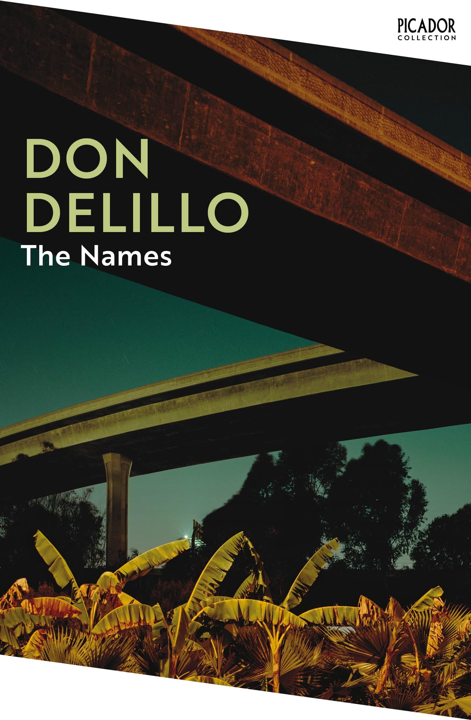 The Names by Don DeLillo PAPERBACK 9781529092103