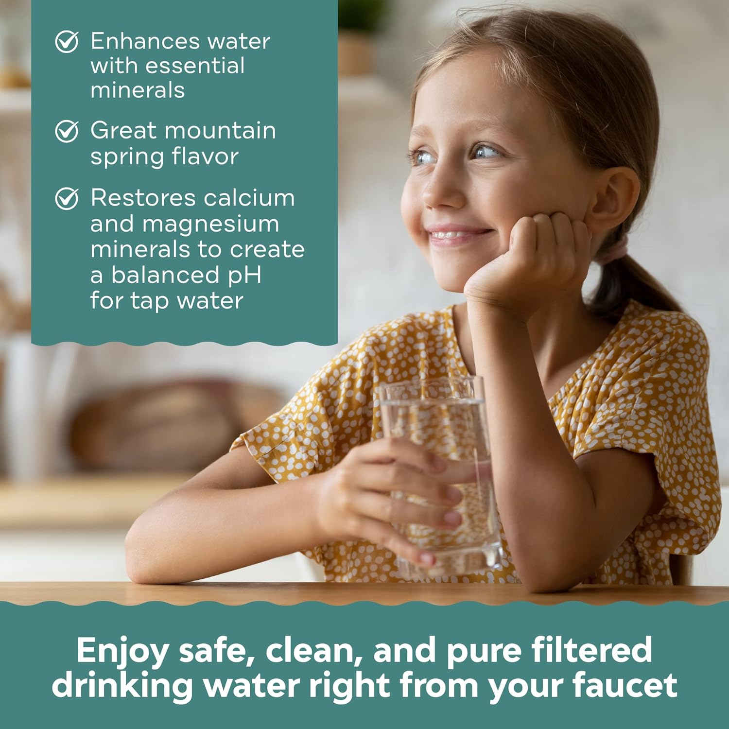 Applied Membranes Inc. 6-Stage Alkaline Under-Sink Reverse Osmosis Water Filter System, 50 Gallons per Day