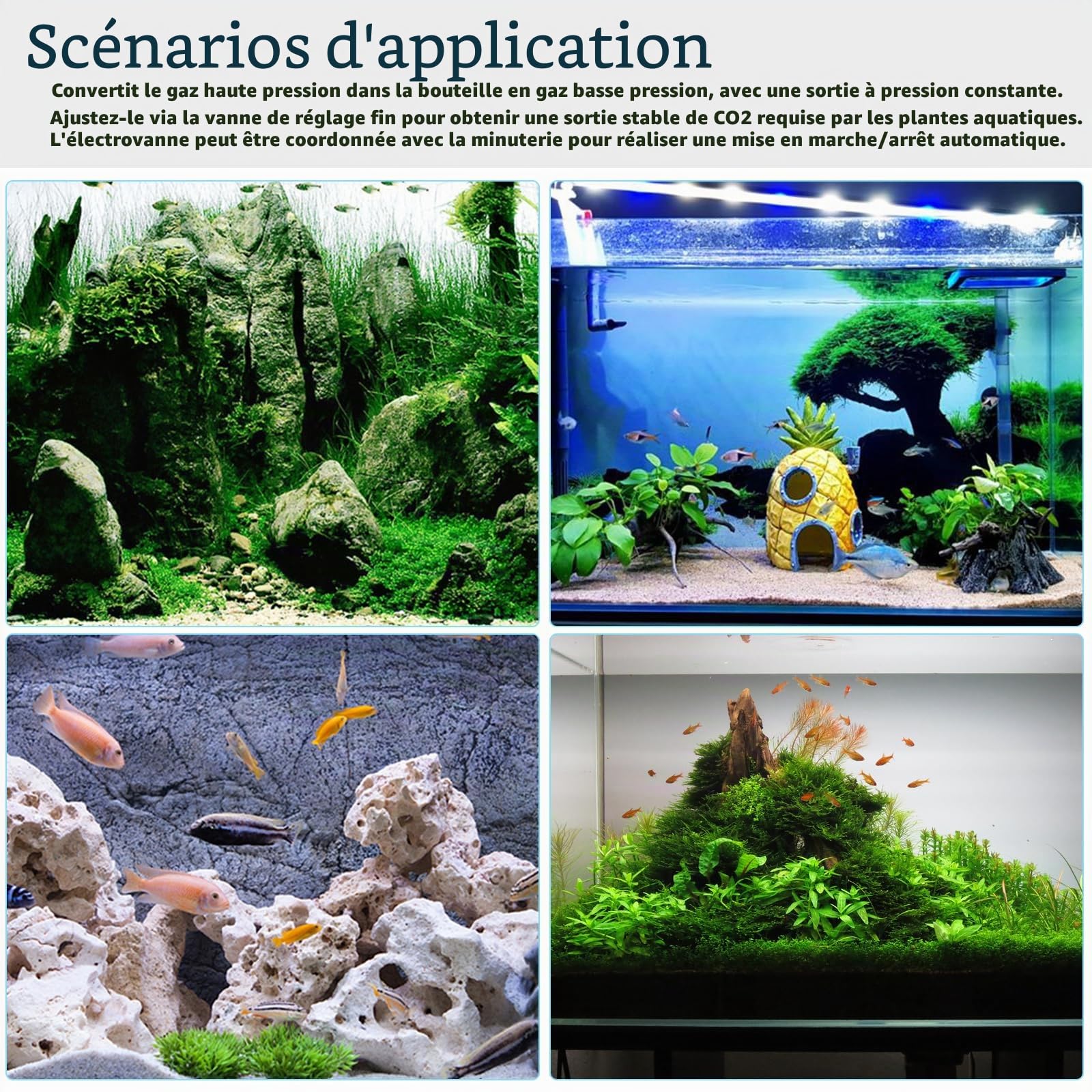 Aicharynic Réducteur de Pression de CO2 d'aquarium - Régulateur de CO2 pour Aquarium - Double écran - Réducteur de Pression de CO2 W218 avec électrovanne - Compteur de Bulles pour Aquariums plantés