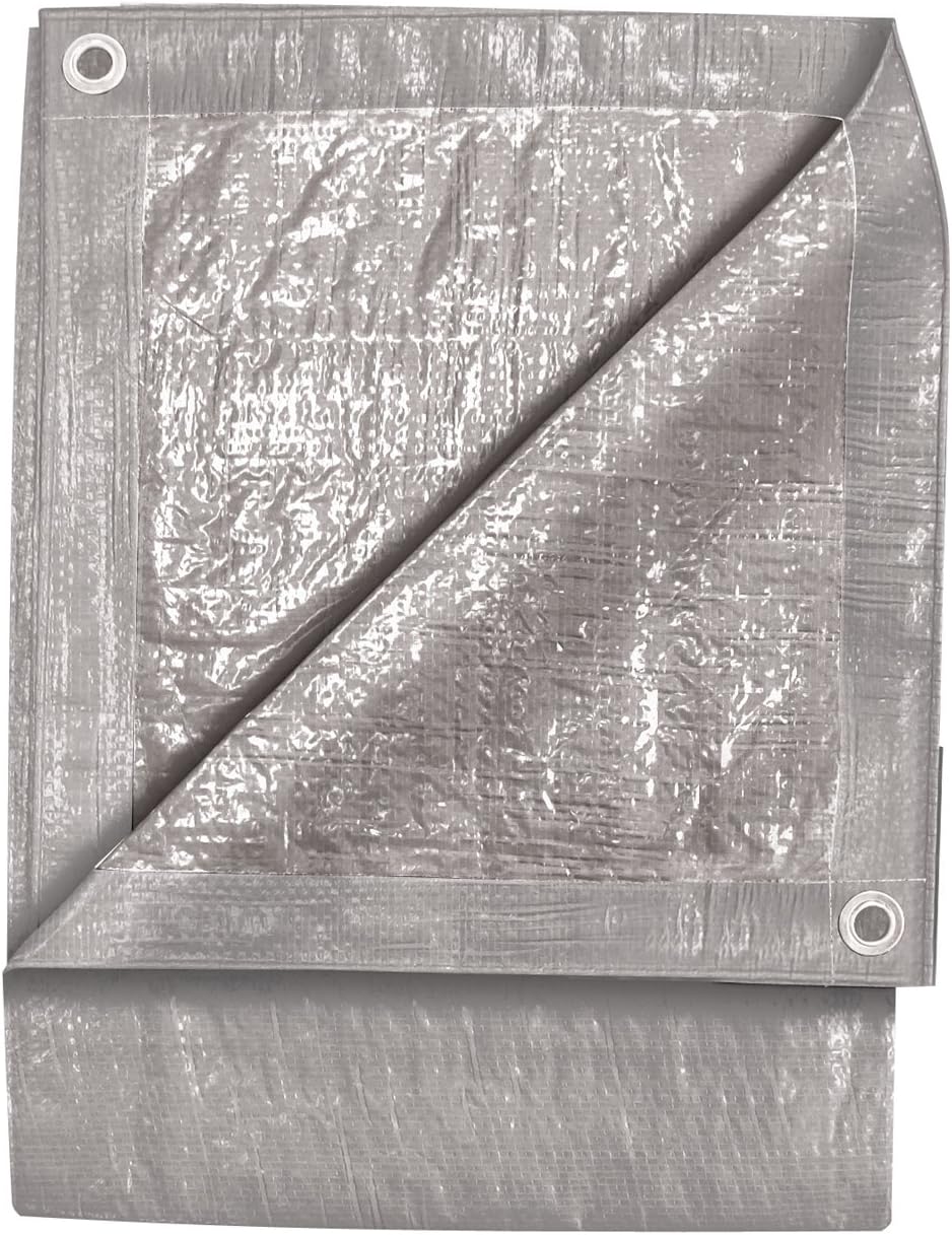 20-Foot by 30-Foot Silver Tarp