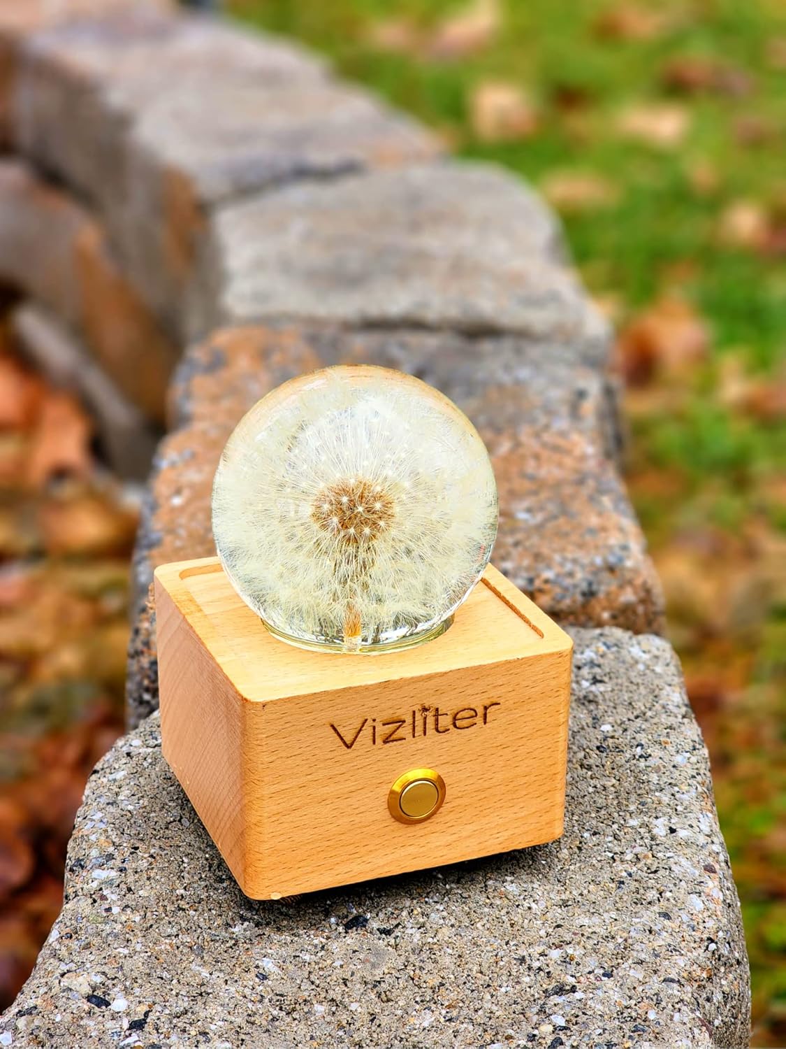 Vizliter Bluetooth Speaker Crystal Ball 65mm LED Lighting Premium Preserved Natural Flower with Wood Base Never Withered Eternal Night Light Audio Portable (Dandelion)