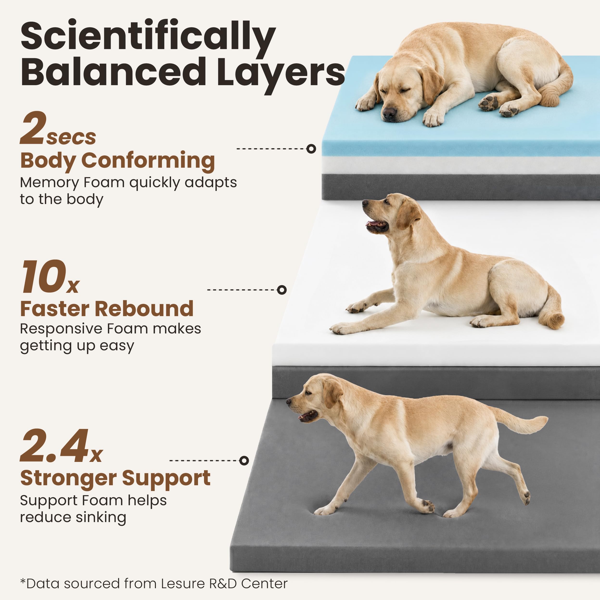 LE SURE RealOrtho™ Memory-Schaum Hundebett groß - orthopädisches Hundesofa | Premium 3-Schicht Stützschaum Hundekorb, Senioren-Gelenkschutz, wasserdichter & waschbarer Bezug für Tiefschlaf, 106cm grau