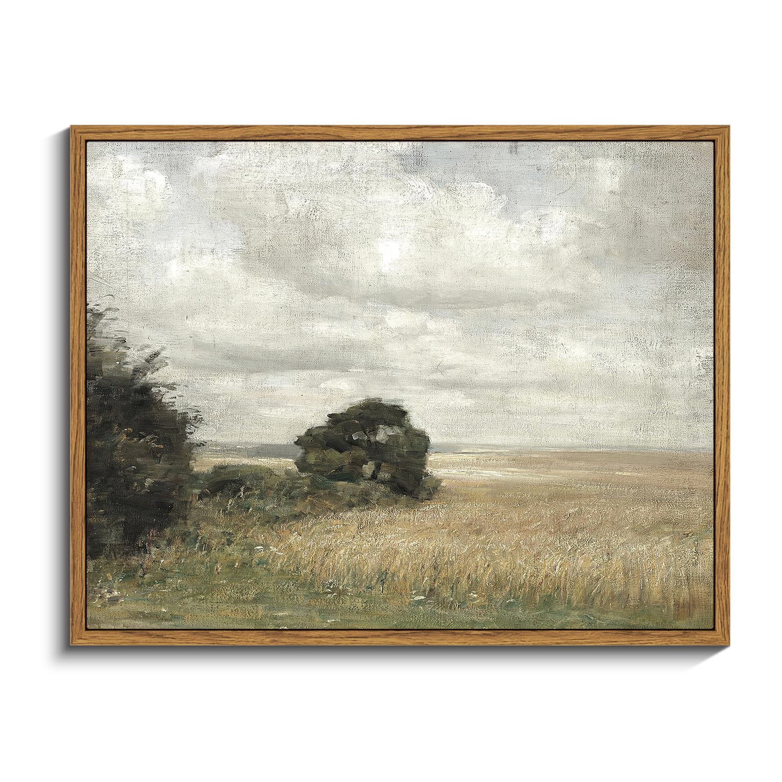 InSimSea Framed Canvas Wall Art - Vast Field under Cloudy Sky, Mid Century Modern, Rustic Farmhouse Bedroom, Retro Room Decor, 11"x14"