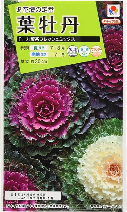 Amazon タキイ種苗 葉牡丹f1 丸葉系フレッシュミックス 花