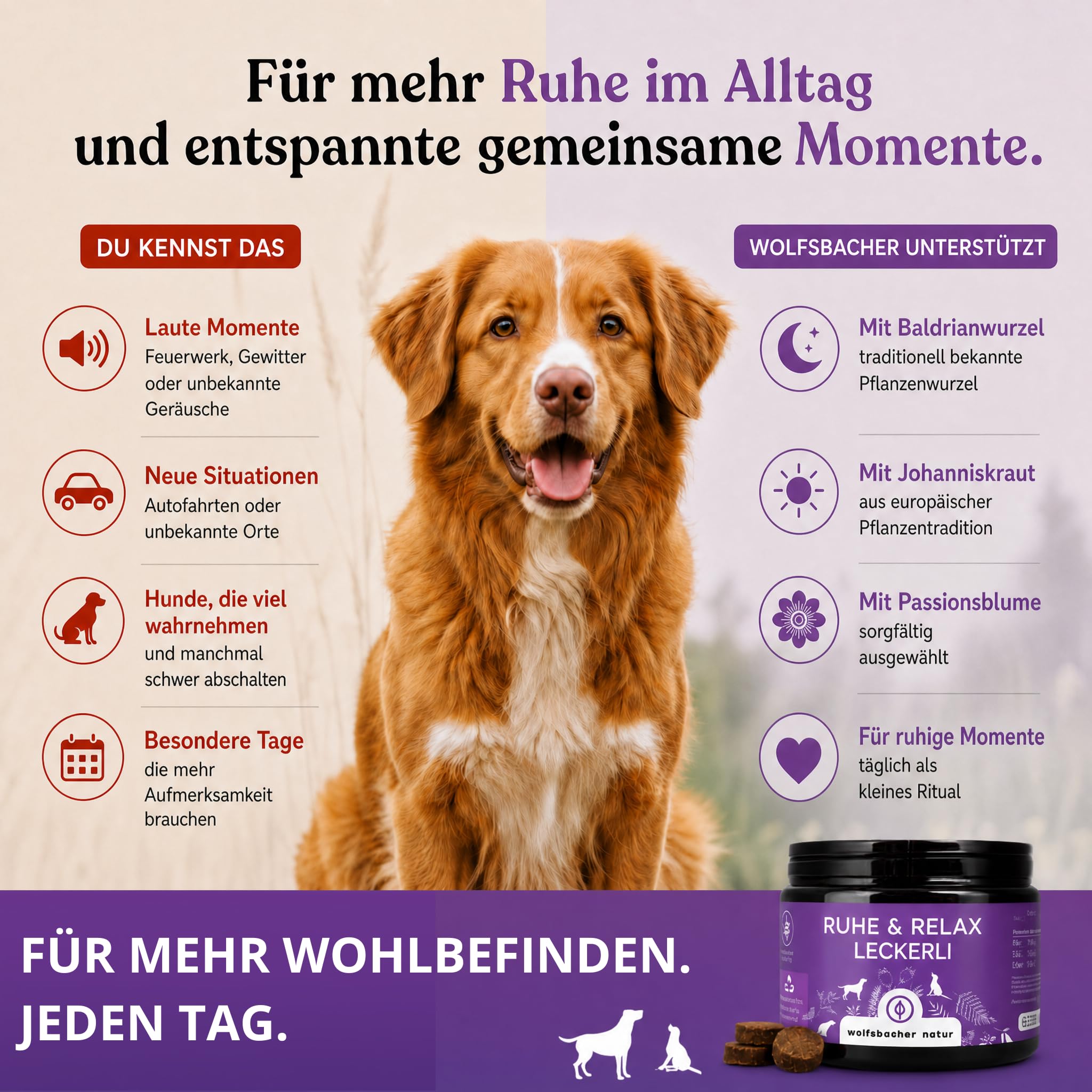 Beruhigungs-Snacks für Hunde – 125 Anti-Stress Leckerli zur Entspannung – Mit Baldrian, Johanniskraut & L-Tryptophan – Hilfe bei Angst, Silvester & Autofahrt – Innere Ruhe