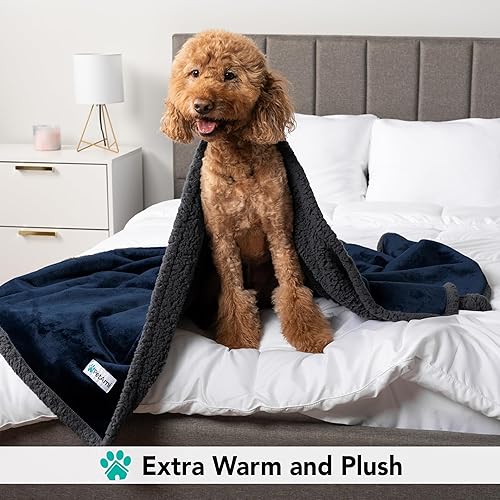 Miniatura 4 de PetAmi Manta para perros pequeños y medianos, manta de cama para mascotas, gatos, cachorros, gatitos, funda de vellón para muebles, protector de