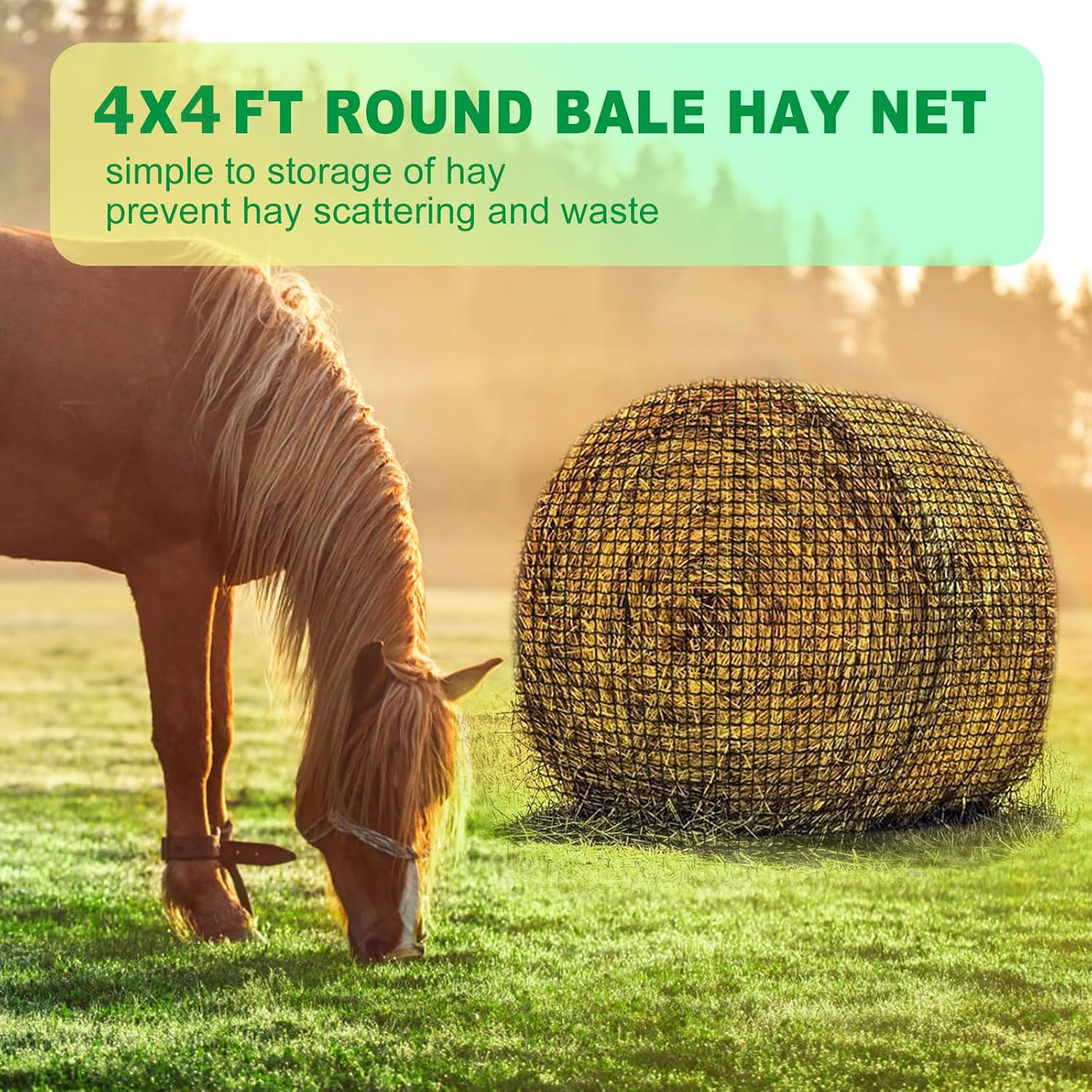 Slow Feeder Hay Hoops For Horses Hay Feeder For Horses BlissKiss