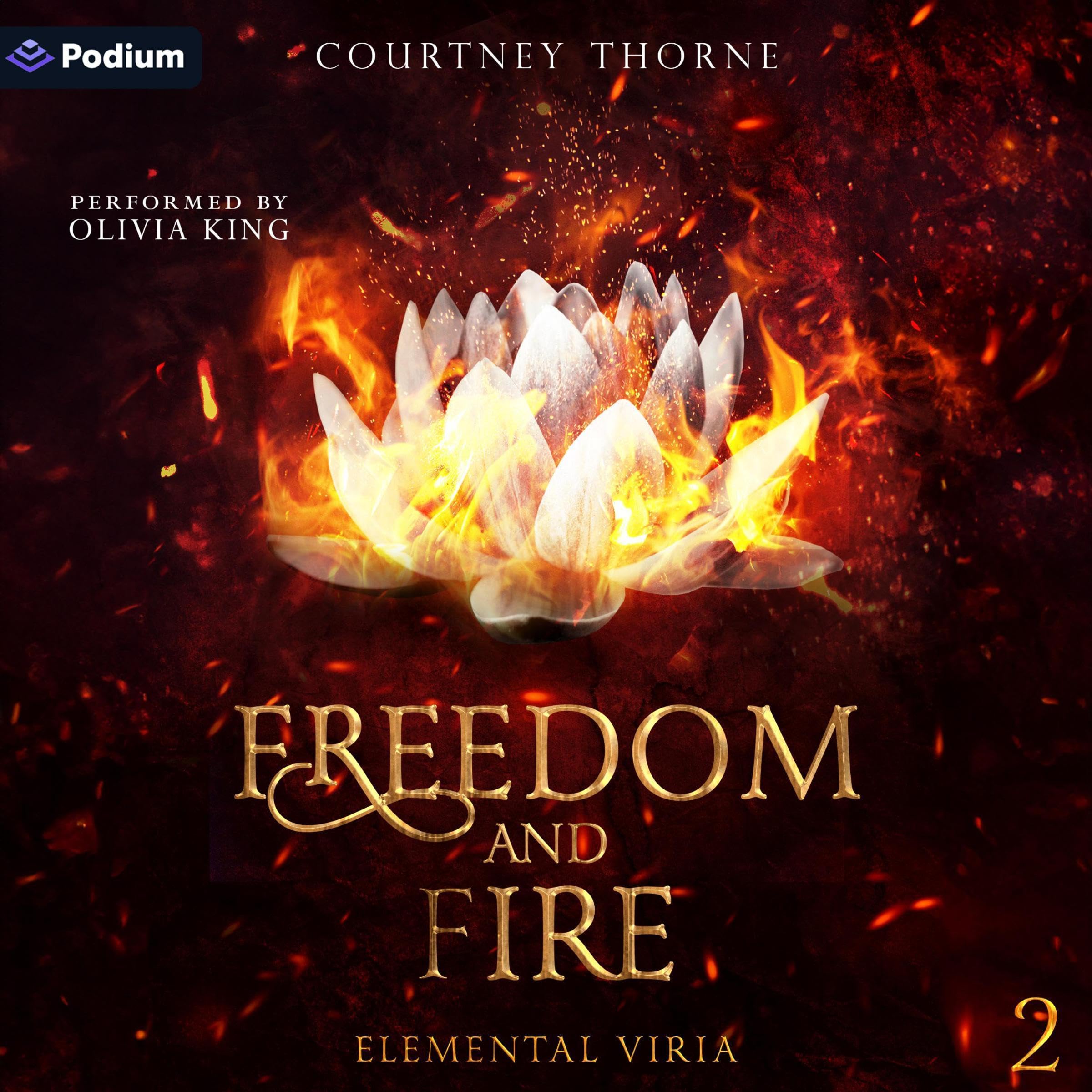 Cover art for Freedom and Fire