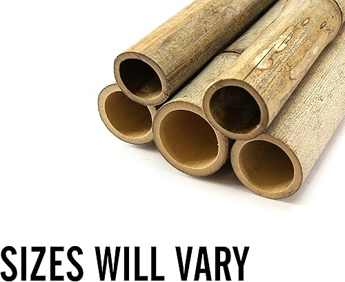 Miniatura 2 de Josh's Frogs Tubo de bambú (2 pies)