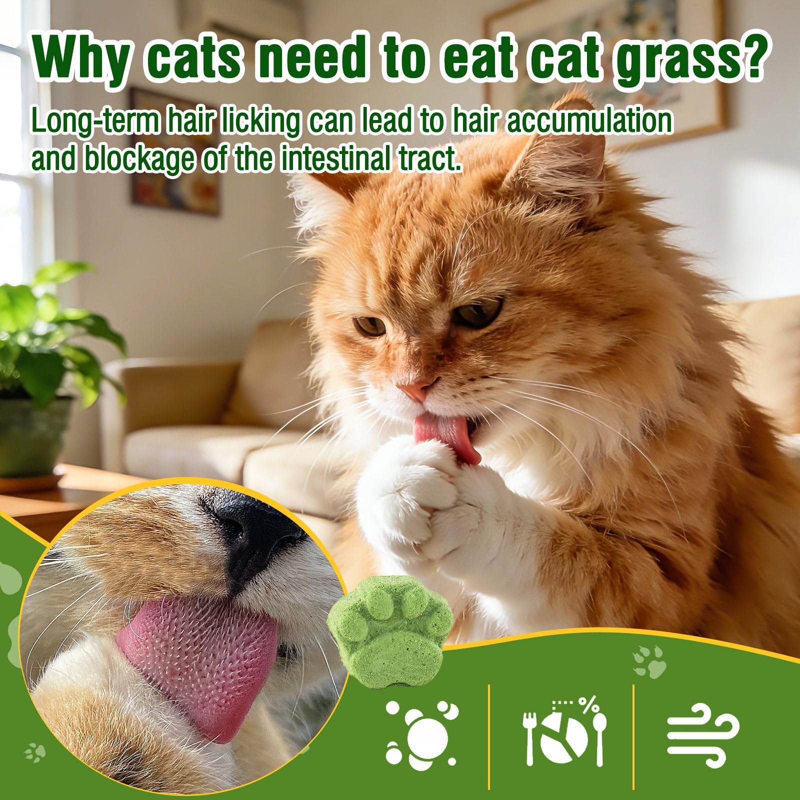 100g Bastoncini di Erba for Gatti, Snack per Gatti Erba da Gatto, Giocattolo Dentale per Gatto, Liofilizzato con Erba Gatta per la Pulizia dei Denti