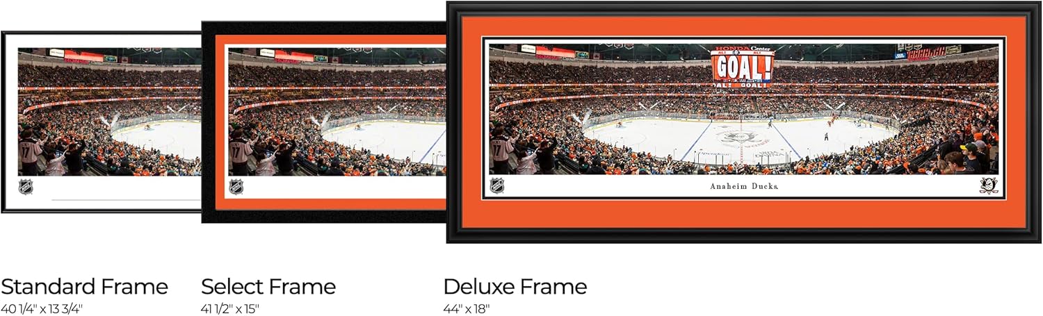 Anaheim Ducks - Double Mat, Deluxe Framed Picture by Blakeway Panoramas (44"W x 18"H)