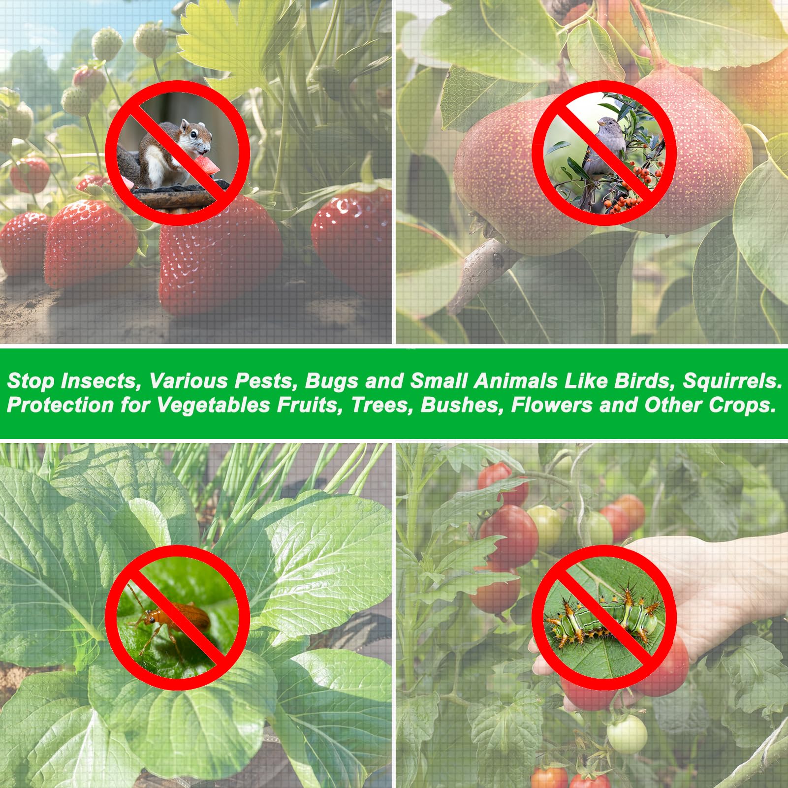 2 redes grandes para árboles frutales con cordón y cremallera, 10 x 10 pies, cubierta de red de arbustos de arándanos, cubierta para plantas de jardín para proteger plantas y flores de pájaros
