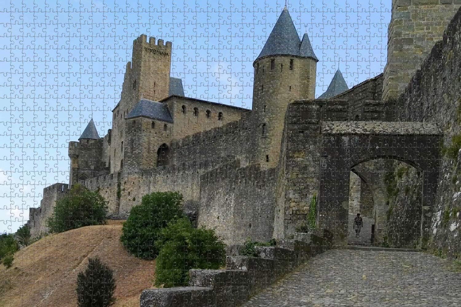 Jigsaw Puzzle for Adults France Carcassonne Castle AUDE Puzzle 1000 Piece Travel Souvenir