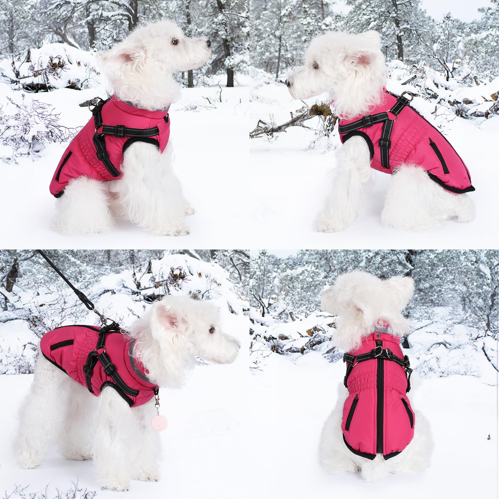 Dog Coat With Harness - Waterproof Winter Jacket for Small Medium Large Dogs Warm Cold Weather Coat With Built-In Harness (rose red, L) - Image 4