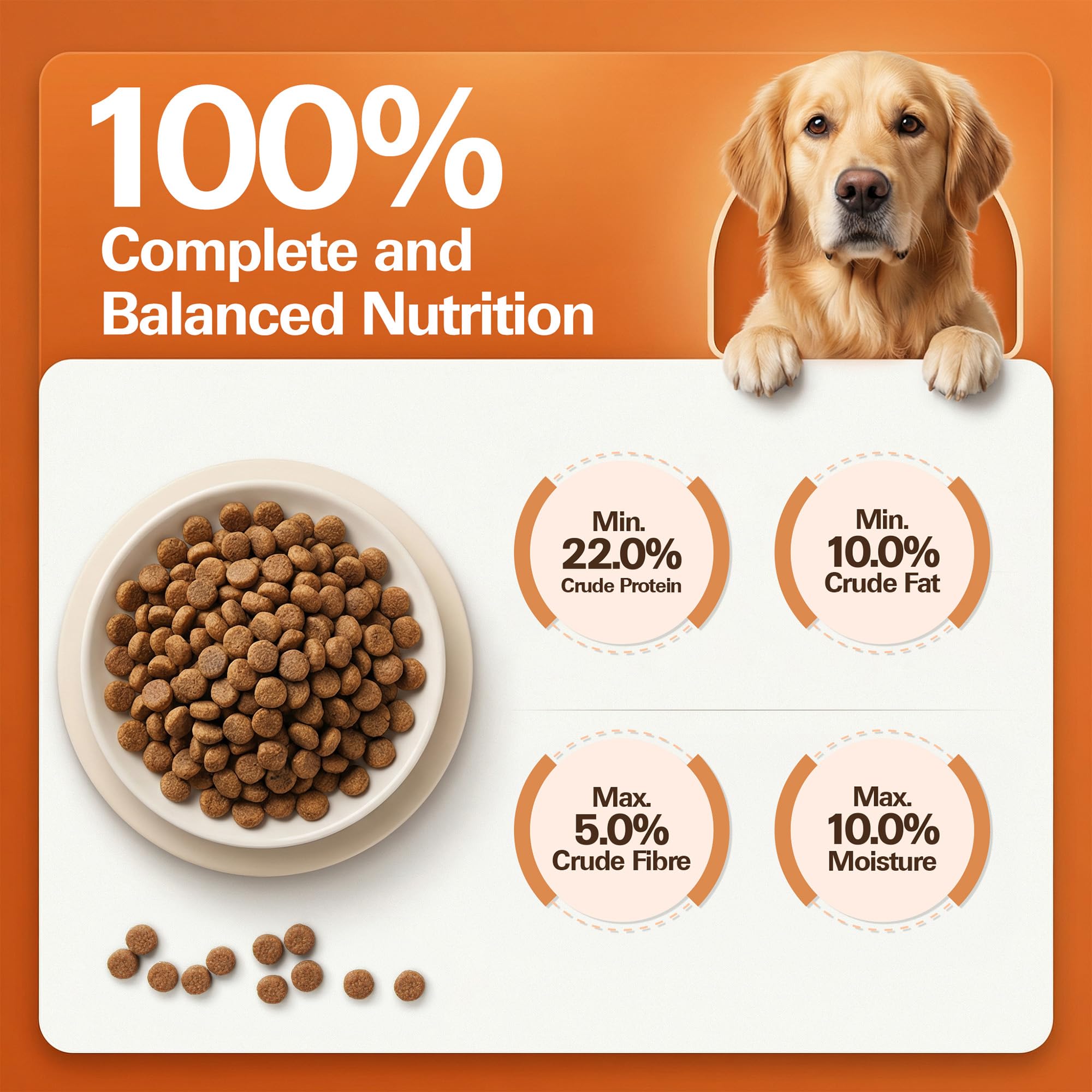Avant Furst Adult Dry Dog Food Chicken & Vegetable | Dog Food Adult with Real Chicken Protein & Vegetables | Dog Dry Food for Daily Nutrition | No Artificial Additives | 2.8kg 4