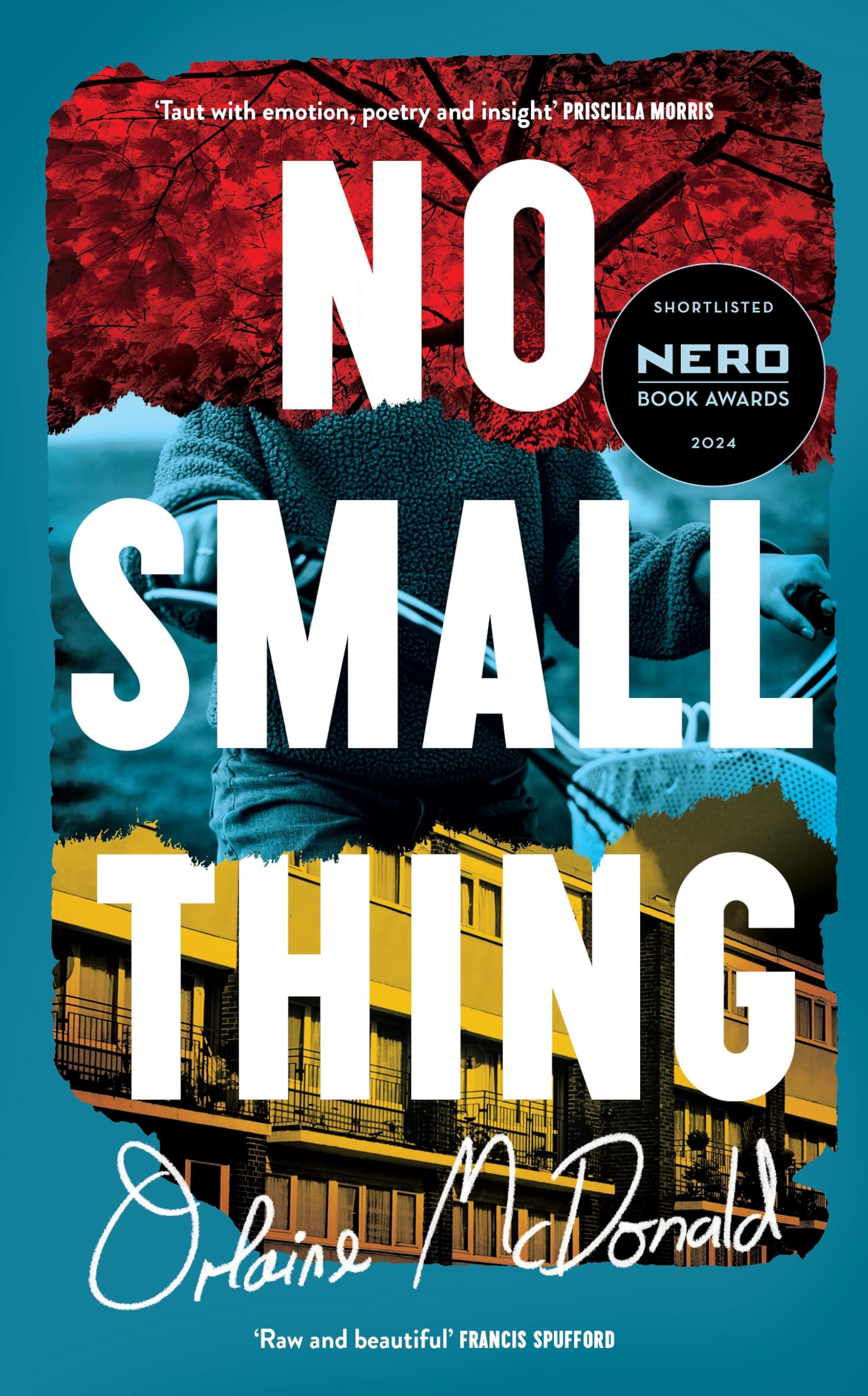 No Small Thing: 'One of the best debut novels I’ve read in recent years' Bernardine Evaristo