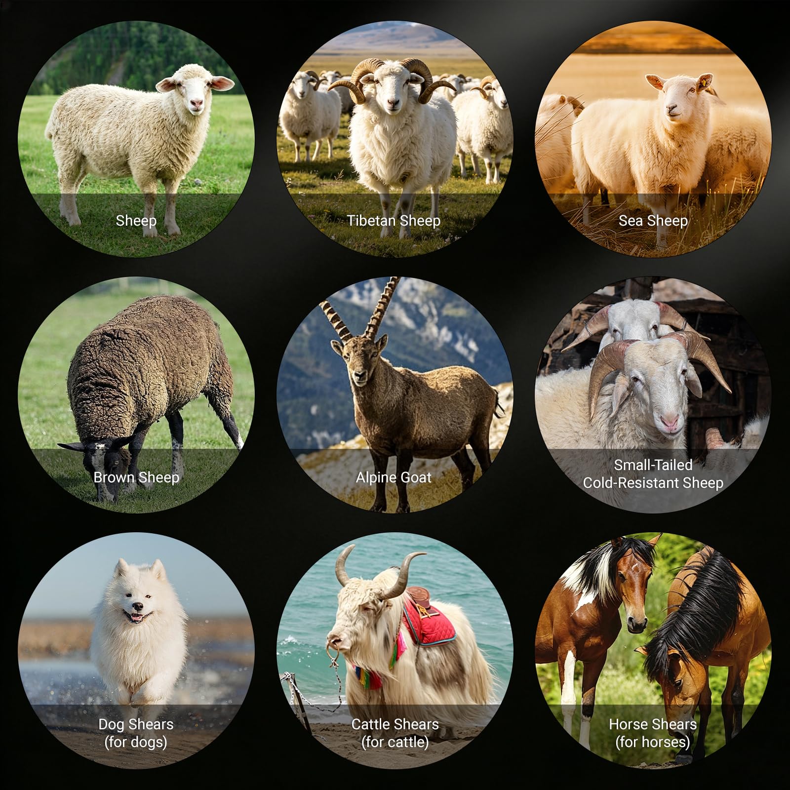 Lames de rechange pour cisailles à moutons,Coupe-laine électrique courbé à 9 dents,kit d'accessoires pour coupe-bordures pour moutons,chèvre tondeuse mouton tondeuse Lame de cisaille à mouton